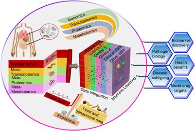 Panomics to decode virulence and fitness in Gram-negative bacteria